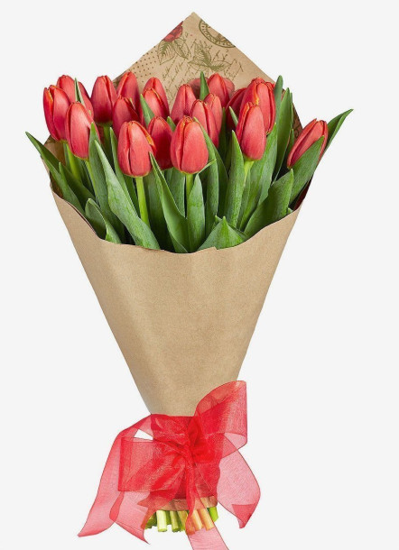 25 Rode Tulpen