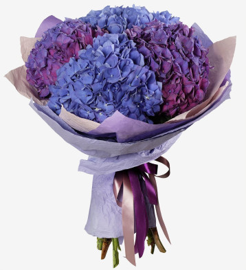 Best Hydrangea Bouquet