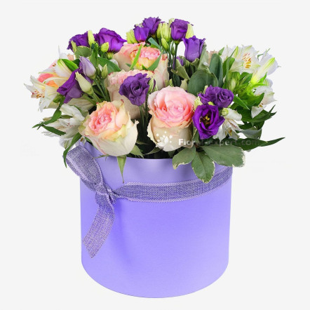 Boîte violette