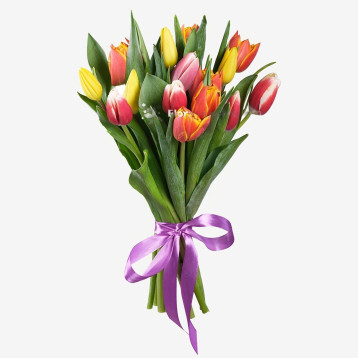 Bouquet de 15 Tulipes