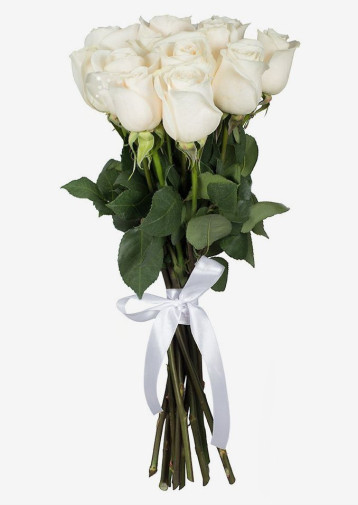 11 Roses blanches