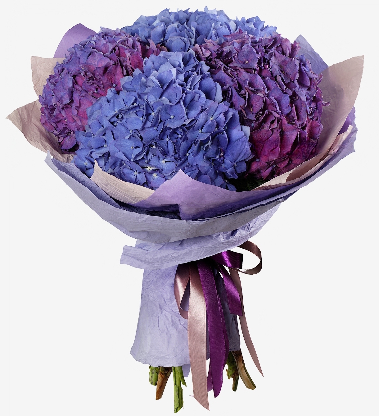 Best Hydrangea Bouquet