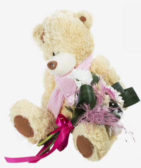 Romantische Teddybeer Image