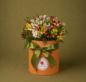 Boîte avec Alstroemerias
