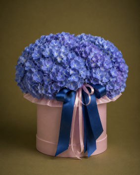 Boîte d'hortensias