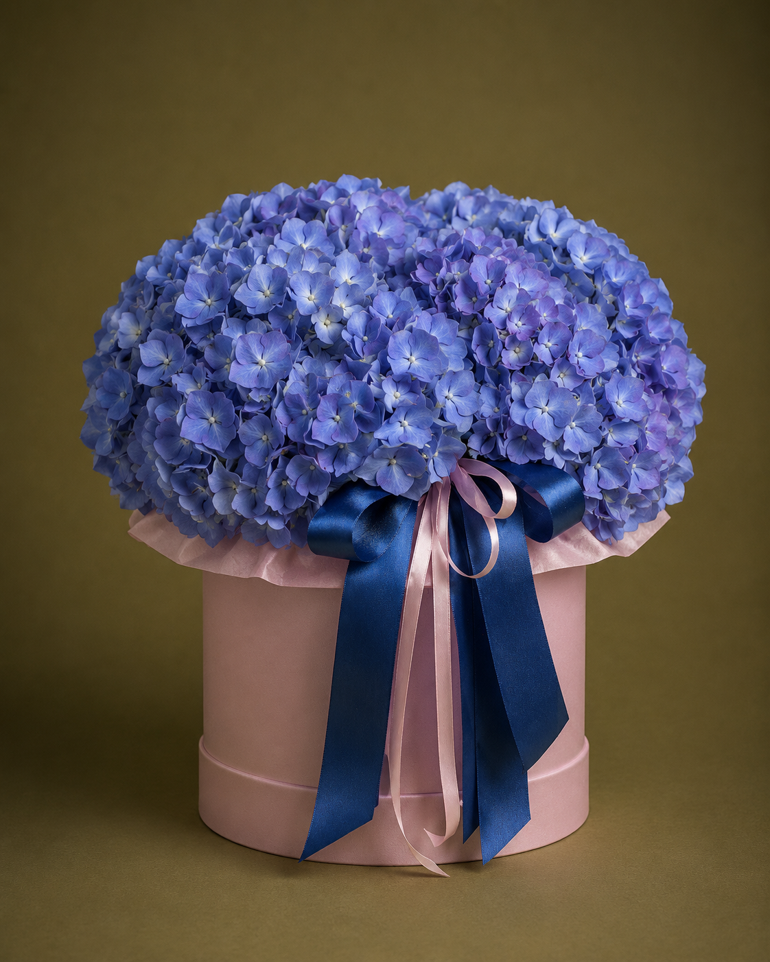 Boîte d'hortensias