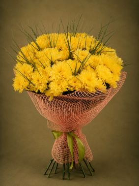 12 Gele Chrysanten