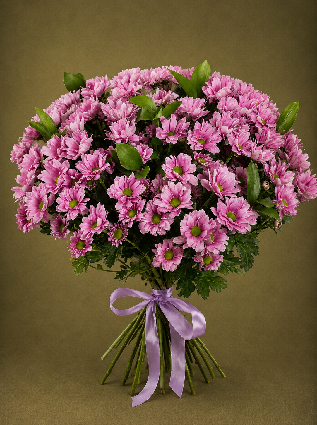 12 Сhrysanthèmes roses